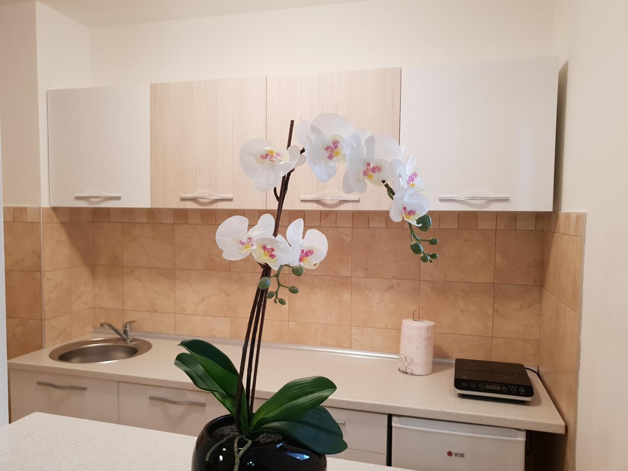 Apartman Kej Free Parking Kraljevo Eksteriør bilde